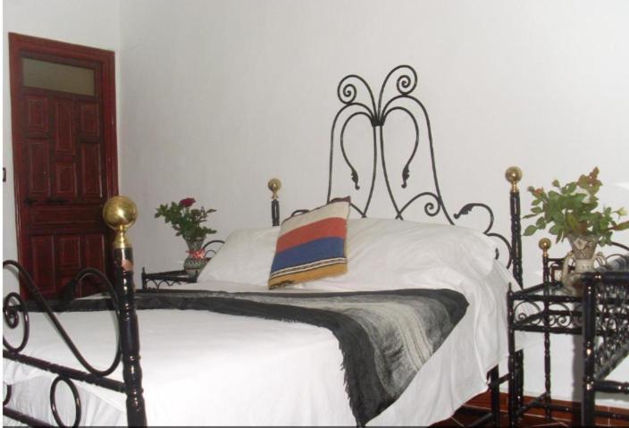 Hostel The Atlas Lion Tanger Kültér fotó